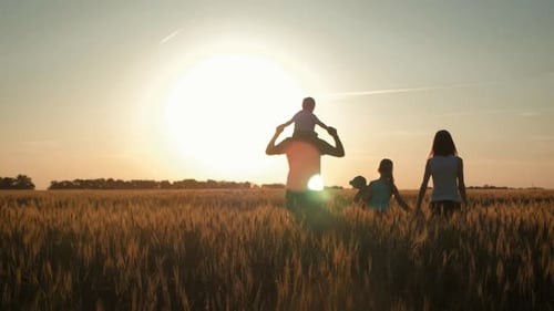 Happy Family Walking in Wheat Field on Sunset in a Warm Summer Evening. Little Son Sitting on Her