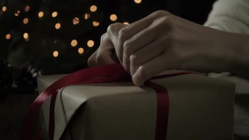 Wrapped Christmas Gift Box