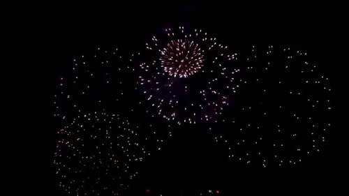 Colorful Fireworks Exploding Against the Dark Night Sky