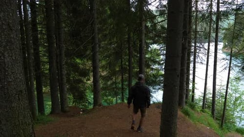 Mann geht durch den Wald am Ufer des Bergsees. Bergwaldsee.