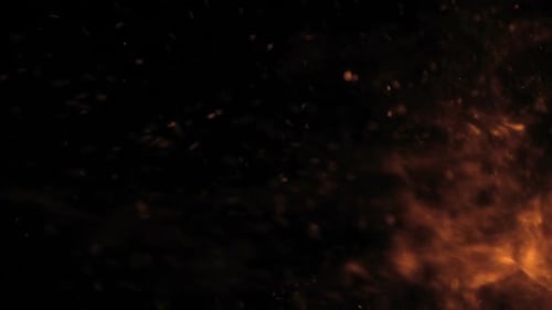 Fiery Particles Dance Across a Black Background