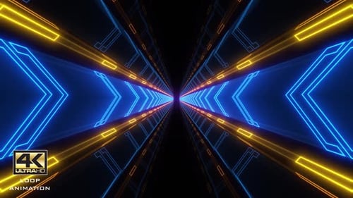 Túnel da nave espacial