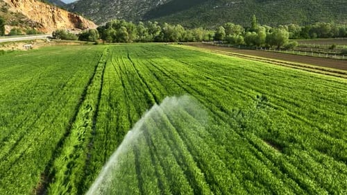 Farmregion Luftaufnahme 4 K Alanya Türkei