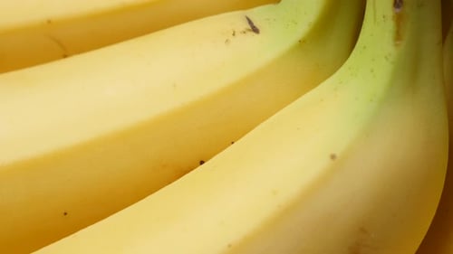 Banana fruit background fresh arranged in a row 4K 2160p 30fps UltraHD tilt footage - Musa acuminata