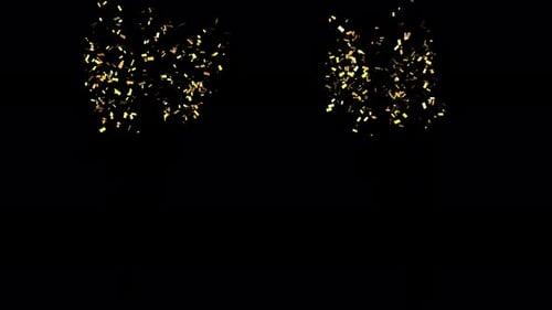 Two Golden Trendy Confetti Shooting upward