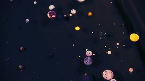 Abstract Colorful Acrylic And Food Paint Bubbles On Water 01