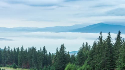 White Clouds Move Slowly Along Autumn Mountain Forest at Hill During Rain