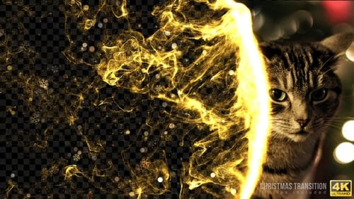 Transitions de Noël