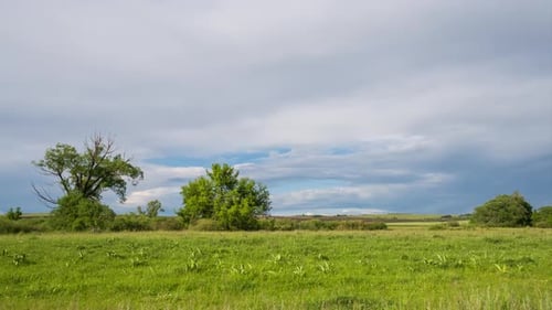 Timelapse. Clouds float high in the blue sky. The sunshine on a beautiful field