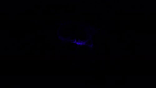 Abstract Blue Fluid Particle Light Reveal Effect