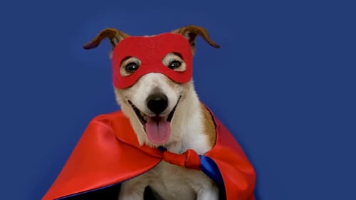 Dog as Superhero with Red Mask and Cape