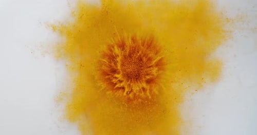 Kurkuma, Curcuma Longa, Pulver explodierend vor weißem Hintergrund, indisches Gewürz, Zeitlupe 4K