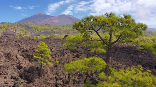 Aerial view of El Teide volcano in Tenerife