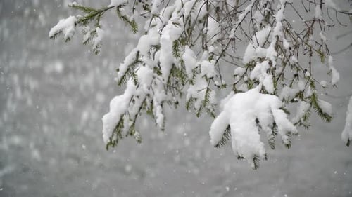 River Coast Covered with Snow