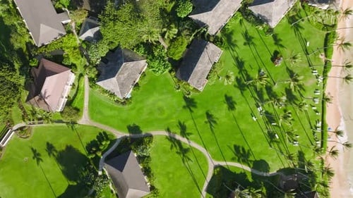 Outdoor Adventure Travel to Beautiful Hawaii Beach Cinematic Sea Nature Aerial