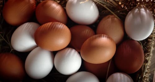 Basket Full of Fresh Brown and White Eggs