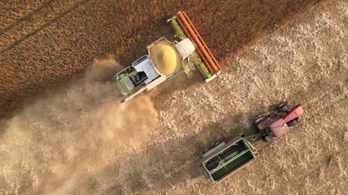 Vista aérea de la cosechadora combinada y el remolque de carga trabajando durante la temporada de cosecha en una cosecha grande