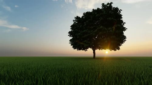 Animated Single Tree in Green Field at Golden Hour