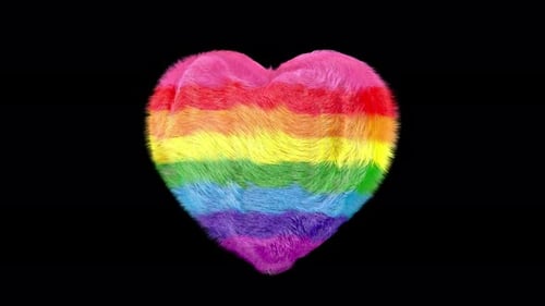Fluffy Rainbow Heart Celebrating Diversity and Pride