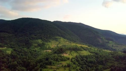 Luftaufnahme der endlosen üppigen Weiden der Karpaten und Ackerland