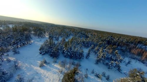 FPV Drone View