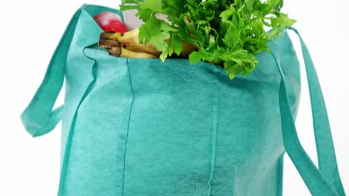 Verduras frescas en bolsa de compras
