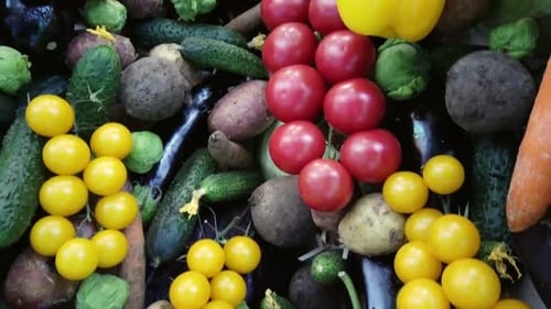Colorful Array of Fresh Vegetables and Produce