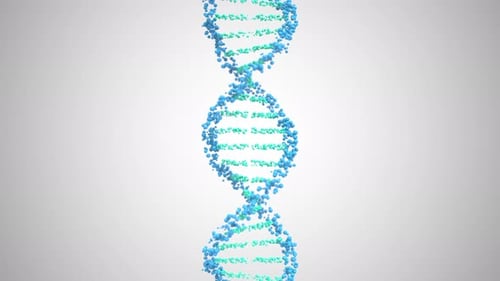 Molécule d'ADN Helix