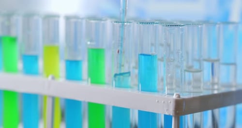 Lab Biochemist Dripping Oil Into Test Tube with Plant, Organic Cosmetology Study.