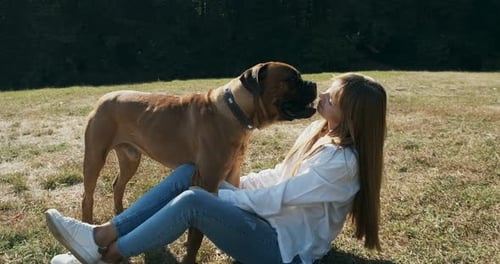 Woman and Bullmastiff Dog Cuddle on Grassy Field