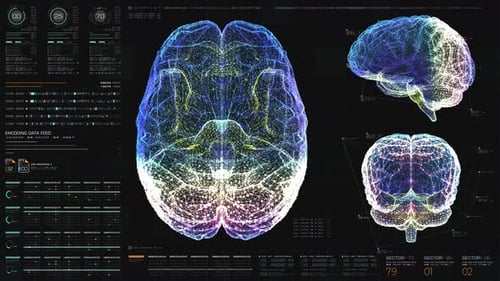 Futuristic Digital Human Brain Scan HUD Animation