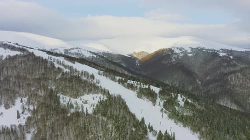 High Snowy Mountain Covered with Evergreen Fir Trees on a Sunny Cold Day