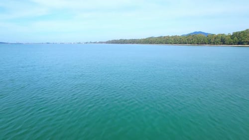 4K aerial view from a drone. Beautiful scenery of the coast with many pine trees.