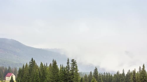 Morgennebel über dem Tal Unter den Bergen im Sonnenlicht. Nebel und wunderschöne Natur von