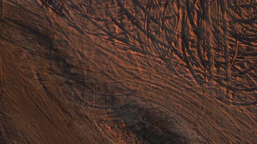 Deserted Beach with Traces of Many Tires