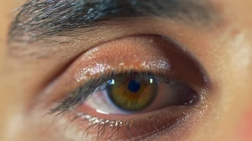 Extreme Close Up of Single Eye