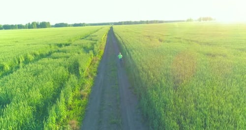 Luftaufnahme eines Jungen, der mit dem Fahrrad durch ein Weizengrasfeld auf der alten Landstraße fährt