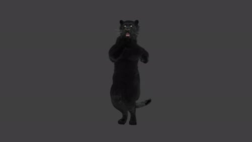 Black Panther Dancing 3D Animation