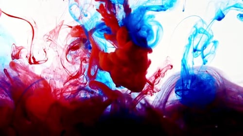 Vibrant Red and Blue Ink Mixing in Water