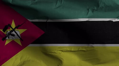 Realistic Waving Mozambique National Flag Seamless Loop