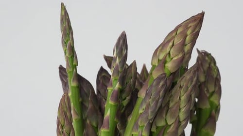 Spargel 40
