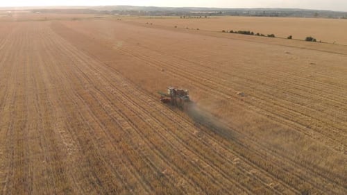 Aerial View on Combine Harvester Agriculture Machine Harvesting Golden Ripe Wheat Field at Sunset