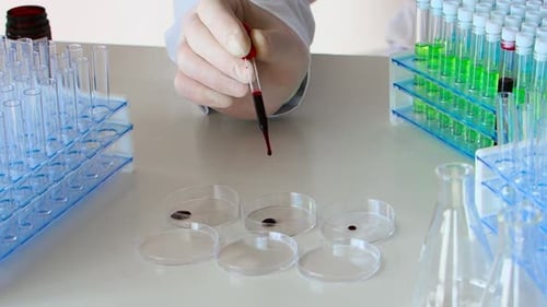 Scientist Drips Red Liquid into Petri Dishes