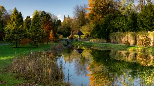 Autumn landscape