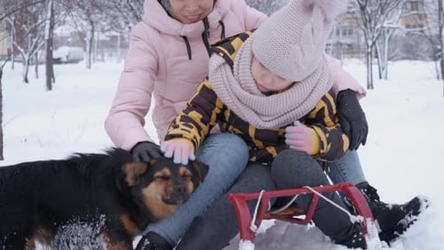 Child and Adult Petting Dog in Snowy Park