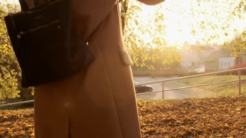 Person Taking Pictures at Sunset in Autumn Park