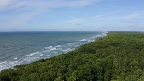 The beach of the Baltic Sea