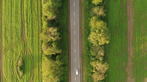 Car Driving on Rural Road, Aerial View