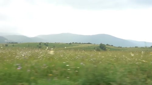 Scenic Rolling Green Meadow with Distant Mountains