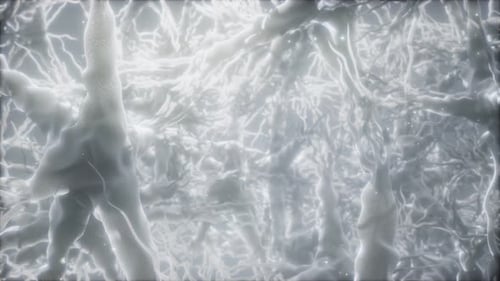 Journey Through a Neuron Cell Network Inside the Brain
